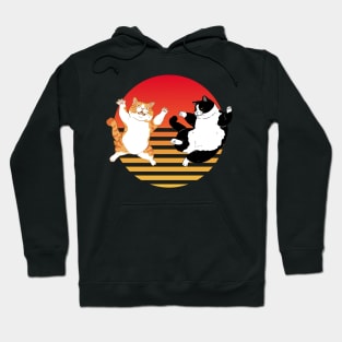 Kung Fu Derpy Cats Hoodie